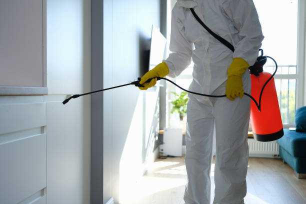 Reliable Niagara University, NY Pest Control Solutions